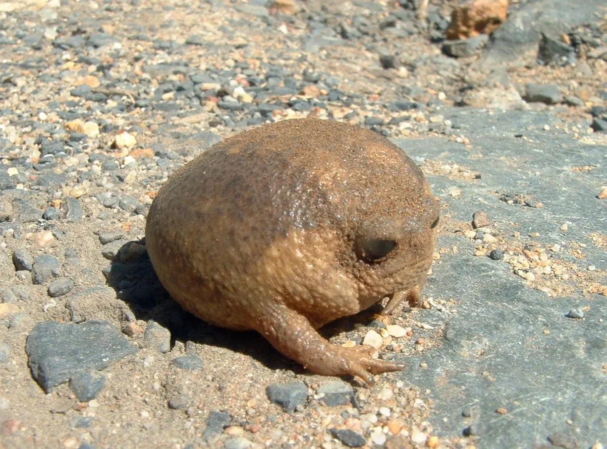 Company Registration Cape Town 2 Company registration Cape Town - register a (Pty) Ltd online with Admin Boss for R275